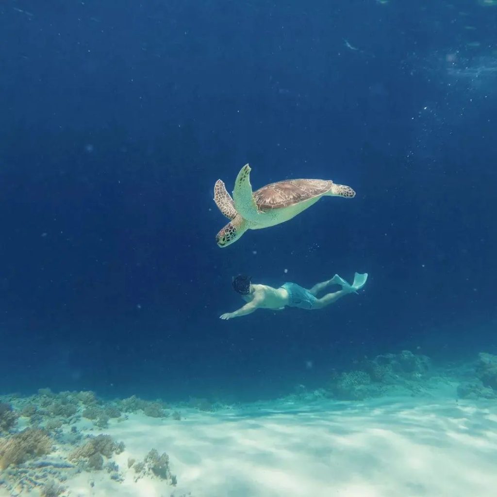 snorkeling gili trawangan