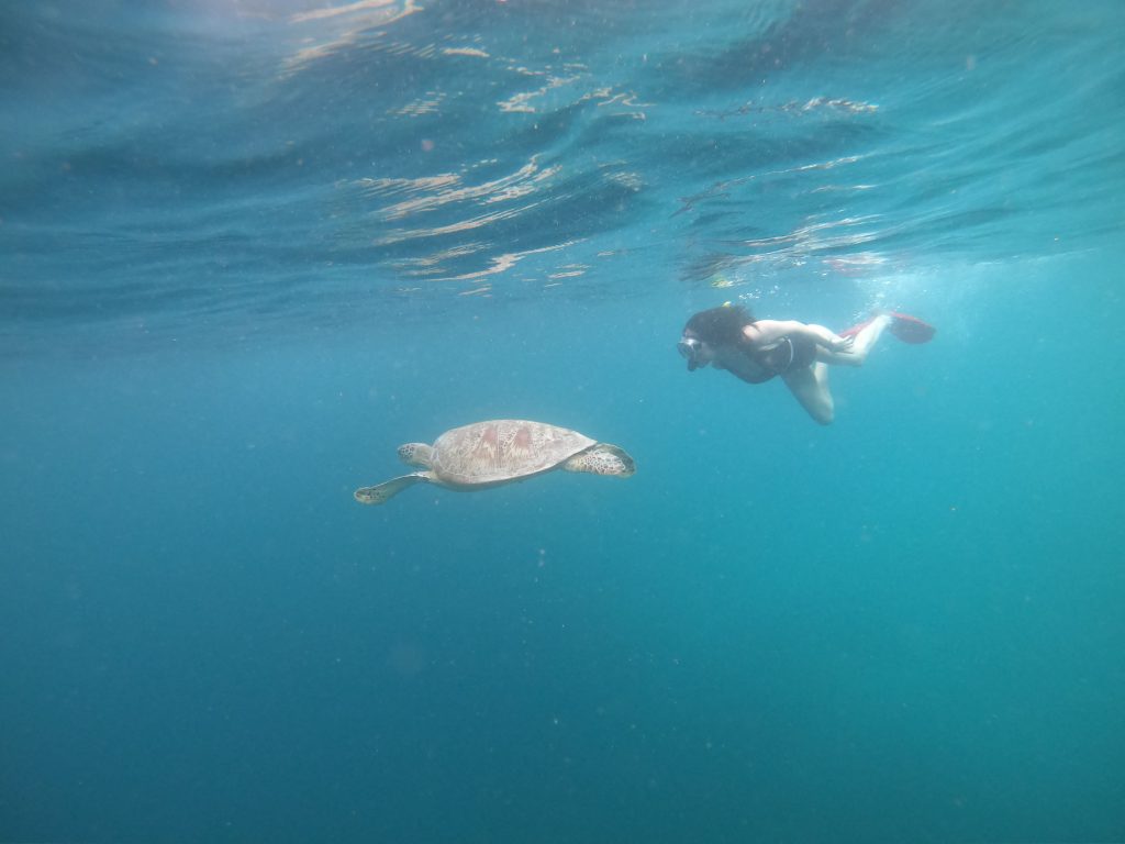 Snorkeling Trip Menikmati Keindahan Bawah Laut di Gili Trawangan, Gili Meno, dan Gili Air